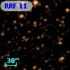 RRF   11