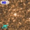 HD 162872