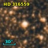 HD 316559