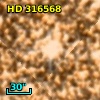 HD 316568