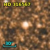 HD 316567
