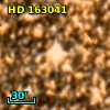 HD 163041