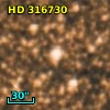 HD 316730