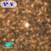 V* V3895 Sgr