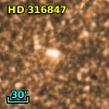 HD 316847
