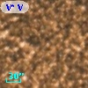V* V2460 Sgr