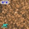 V* V2442 Sgr