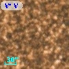 V* V2438 Sgr
