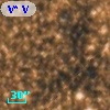 V* V2422 Sgr