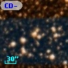 CD-28 13750