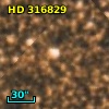 HD 316829