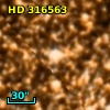 HD 316563