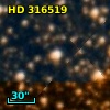 HD 316519