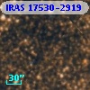 IRAS 17530-2919