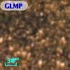 GLMP  660