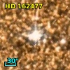 HD 162477