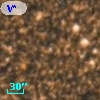 V* V748 Sco