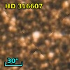 HD 316607