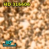 HD 316606