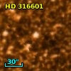 HD 316601