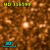 HD 316599