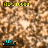 HD 316608