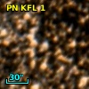 PN G000.5-03.1