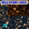 IRAS 17495-2853