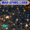 IRAS 17495-2919