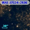 IRAS 17524-2836