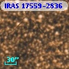 IRAS 17559-2836