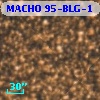 MACHO 95-BLG-1