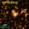 HD 316514