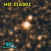 HD 316901