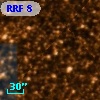 RRF    8