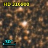 HD 316900