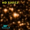 HD 316513