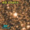 HD 316855