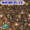 MACHO 95-21