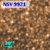 NSV  9921