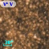 V* V3968 Sgr