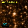 HD 316543