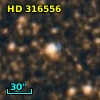HD 316556