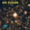 HD 316509