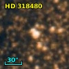 HD 318480