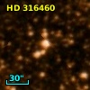 HD 316460