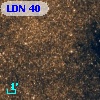 LDN   40