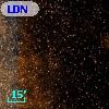 LDN 1801