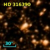 HD 316390