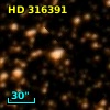 HD 316391